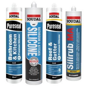 Silicone and Sealant